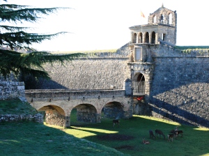 Jaca Citadela