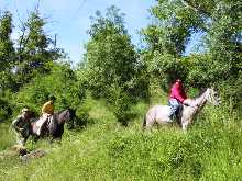 Horse Riding Horse Riding