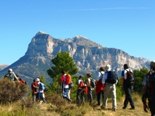 Guided Walking Holidays