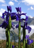Walking in the Pyrenees