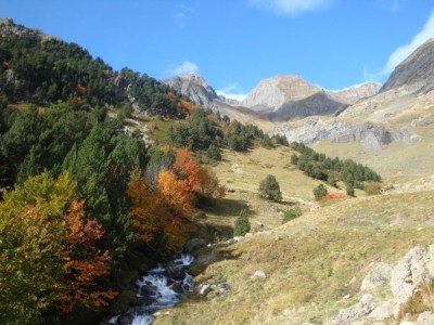 Pyrenees-pico-arriel-02 Emerging from the woods into the high alpine meadows