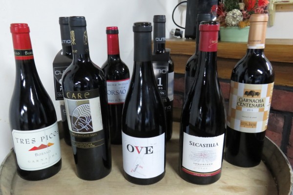 Grenache wines from Aragon