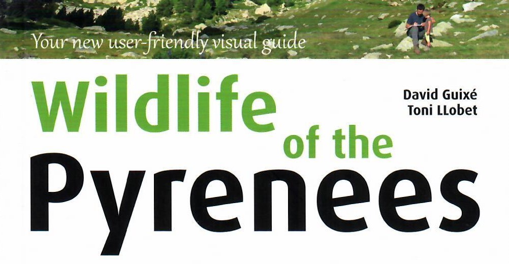 Pyrenees flora and fauna book