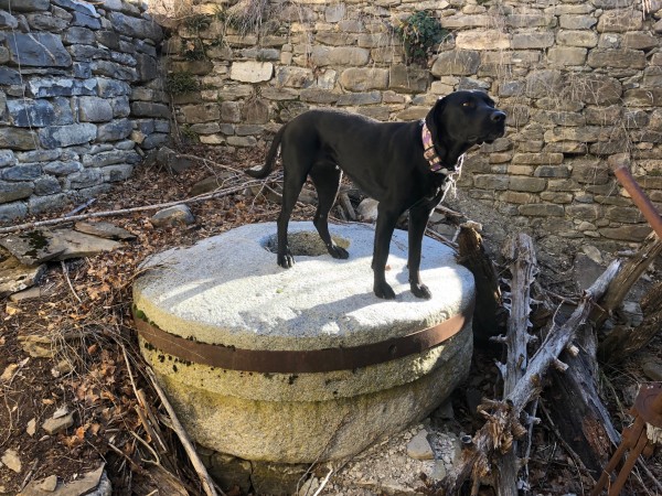 Old mill in the Pyrenees Pyrenees