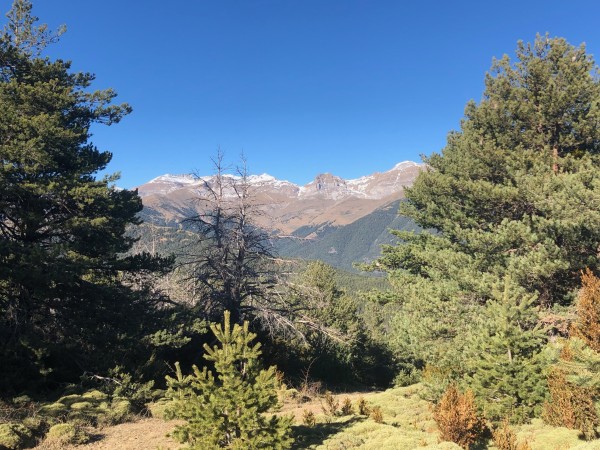 Views of the southern slopes of the Sierra de Partacua