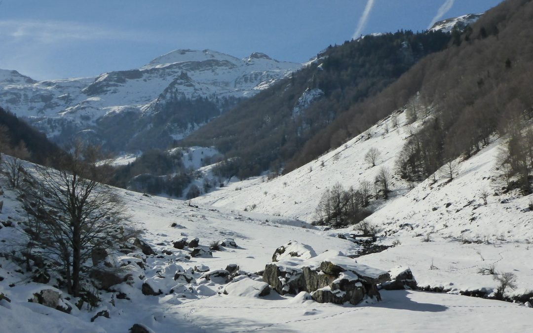 Out in the Valle de Aspe