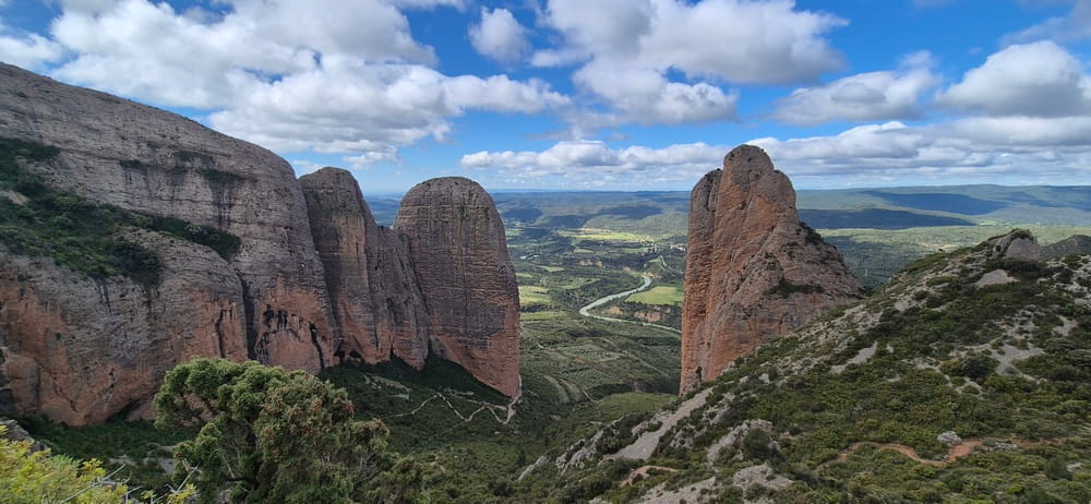 Griffon vultures soaring above the cliffs of Riglos