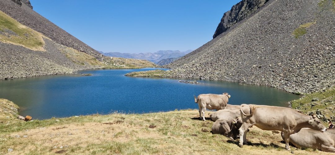 A week in the Heart of the Pyrenees