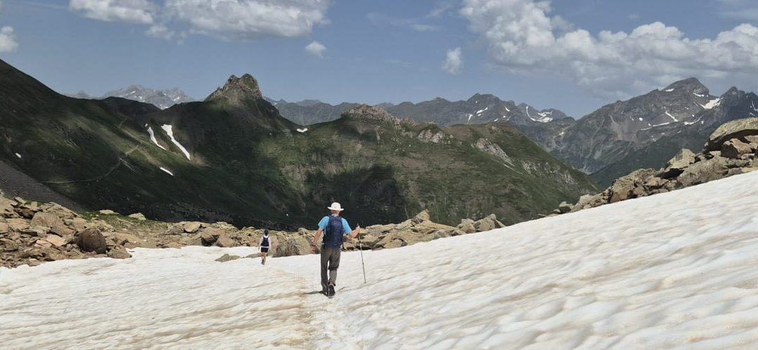 Peaks & Passes: wildlife, wildflowers and classic Pyrenean summits