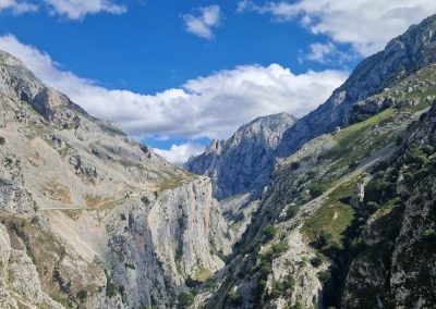 Picos de Europa