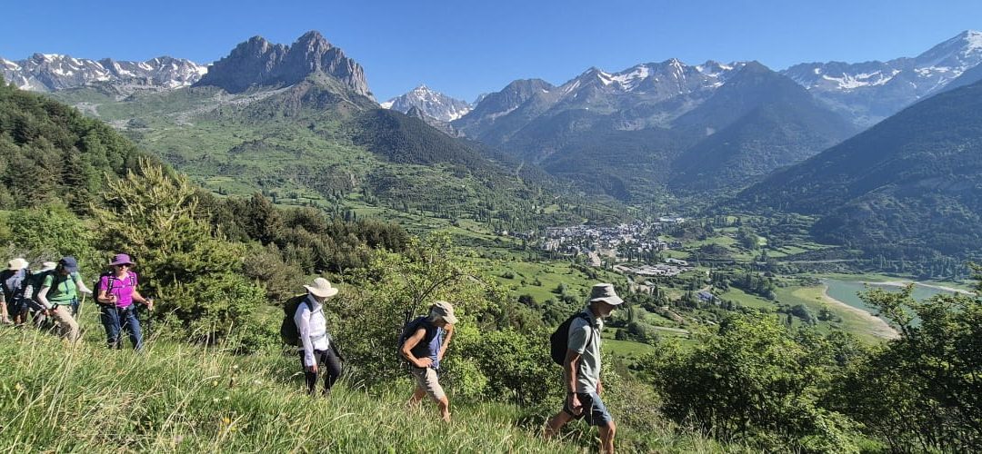 Valle de Tena Explorer: sunshine, wildflowers and mountain adventures
