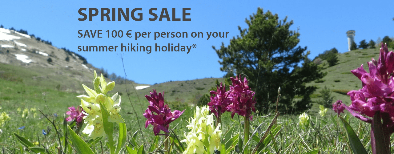 hiking sale