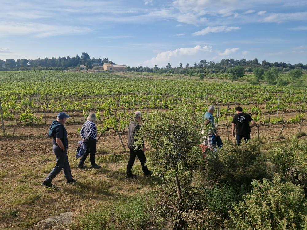 Wine and walking (34)