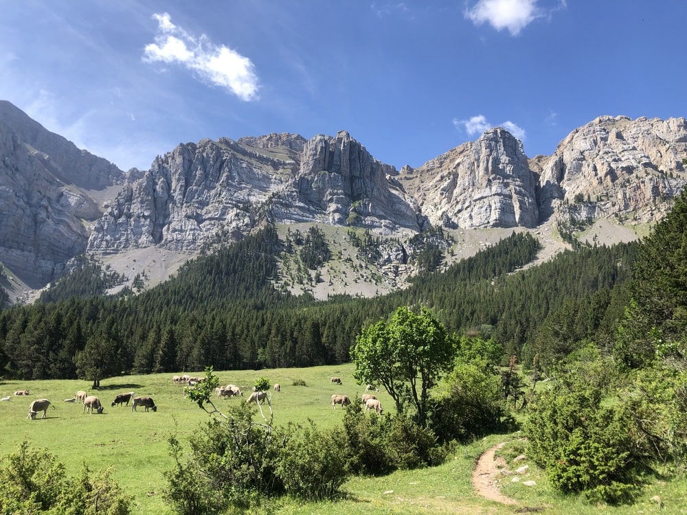 Guided walking in the Catalan Pyrenees