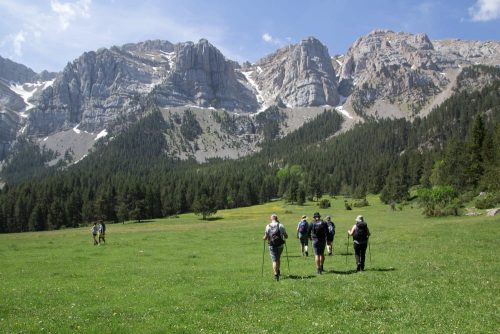 The meadow of Prat de Cadi