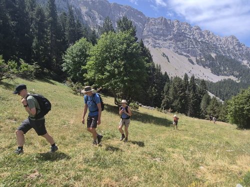 Catalan Pyrenees july (5)
