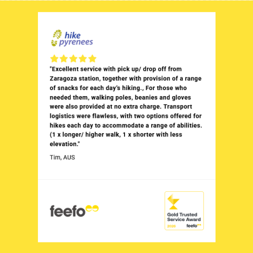 Feefo reviews 