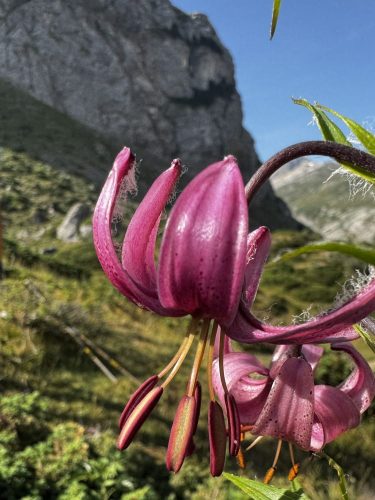 French Pyrenees hiking holiday (22)