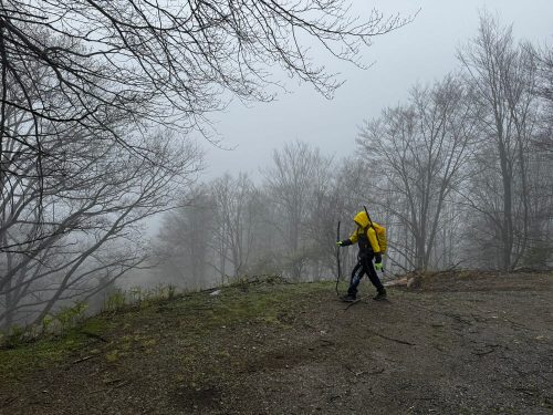 Hiking in the mist
