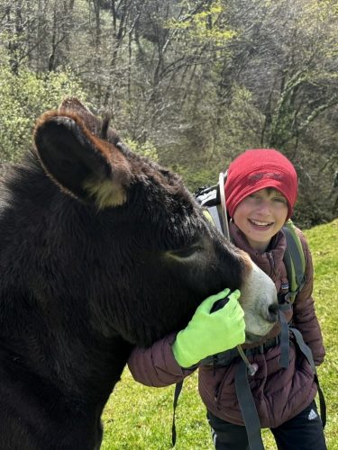 Christopher loves donkeys and horses