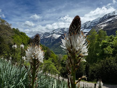 Ordesa National Park (20)