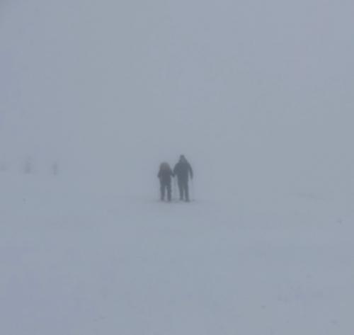 Emerging out of the mist.....