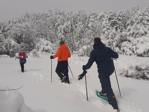 Snowshoeing in the Valle de Tena