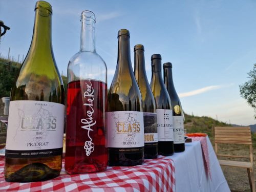 Wine and walking (22)
