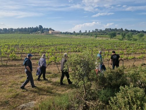 Wine and walking (34)