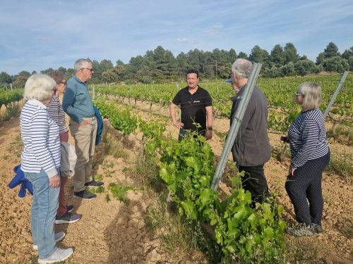Wine and walking (35)