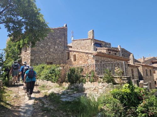 Wine and walking (5)